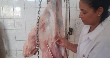 رئيس مدينة سفاجا تترأس لجنة لمتابعة المحلات التجارية والمجزر والأسواق.. صور