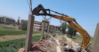 محافظ المنوفية: إزالة 234 حالة تعد على الأراضى الزراعية خلال فترة الحظر