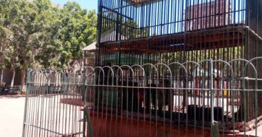 مدير حديقة الحيوان بالجيزة: لم تظهر أى حالات مرضية والحيوانات بصحة جيدة