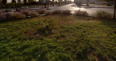 كورونا يحرم المتنزهات من زوارها بالشرقية.. والطرقات تخلو من المواطنين .. صور
