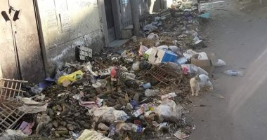 اضبط مخالفة.. مواطنون يزورون المقابر بالمحلة وانتشار القمامة حول الأضرحة