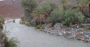 فيضان سد وادى شوكة برأس الخيمة بالإمارات.. فيديو