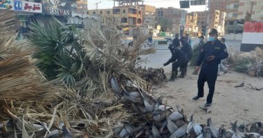 الحماية المدنية بالوادى الجديد تنظف أماكن سقوط أشجار بسبب الرياح .. صور 