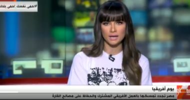 نائب رئيس المجلس المصرى للشئون الأفريقية: مصر قامت بجهود كبيرة للقارة الأفريقية