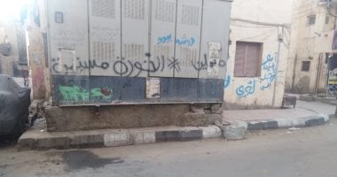 مدينة الأقصر تعلن رفع 20 طن قمامة ومخلفات صلبة بحملات نظافة الشوارع