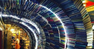 10 مكتبات حول العالم يجب على القارئ زيارتها أون لاين.. شاهدها