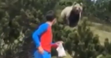 اتصدم.. دب يلاحق صبيا إيطاليا بدى هادئ الأعصاب 