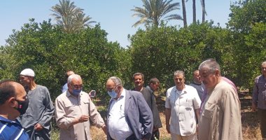 نائب وزير الزراعة: وضع حلول بديلة للرى لتفادى حدوث أزمة نقص المياه