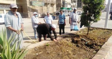 صور.. زراعة شارع البحر بالمحلة بالورود والاشجار ضمن حملات التجميل