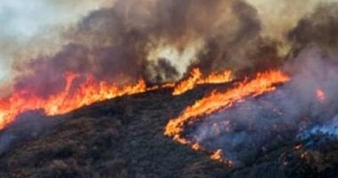 إعلان حالة الطوارئ فى كاليفورنيا بسبب حرائق الغابات.. فيديو وصور