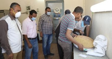 صور .. كيفية توريد قمح المشروعات للشون والصوامع فى قنا 