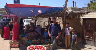 صور.. للوقاية من كورونا.. أحياء الإسكندرية تواصل فض وتعقيم الآسواق