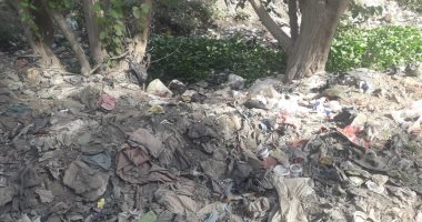 شكوى من تواجد مصرف بشارع  أولاد نجم بمحافظة الشرقية.. ومطالب بردمه