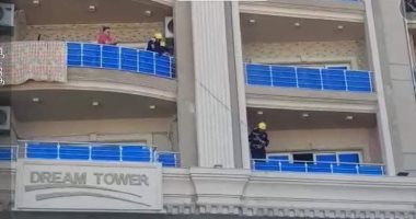 الحماية المدنية بالإسكندرية تنقذ قطا سقط من شرفة.. وصاحب البلاغ: مصر دى ولا أوروبا