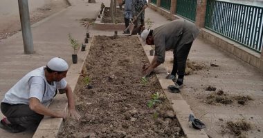 صور.. تجهيز احواض الزراعات بكورنيش كفر حجازى بالمحلة وزراعتها بالأشجار
