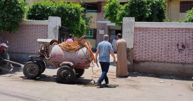 أهالى قرية سنباط فى الغربية يشنون حملة تطهير بالجهود الذاتية.. صور