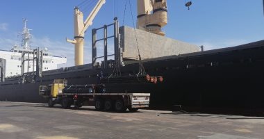 أعمال تعقيم بميناء الإسكندرية لمنع انتشار فيروس كورونا.. صور