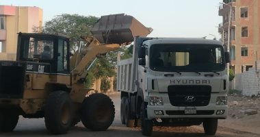 حملات نظافة ومطالب بعدم إلقاء كمامات وجوانتى بالشوارع فى إسنا.. صور
