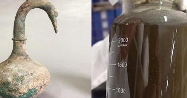 شاهد.. وعاء على شكل بجعة به سائل"مجهول" عمره 2000 سنة يحير العلماء فى الصين