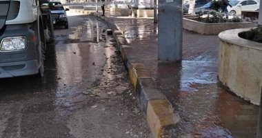 صور.. حملة نظافة مكبرة وتشجير بشوارع المحلة