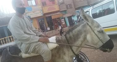 شاهد.. طفل أقصرى يرتدى كمامة ويضع واحدة لـ"حماره" لحمايته من كورونا
