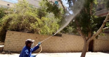 تنفيذ حملة مكافحة القوارض والذباب بالعريش .. صور