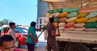 صور .. توريد 170 ألف و917 طن قمح بـ 22 منفذاً بكفر الشيخ