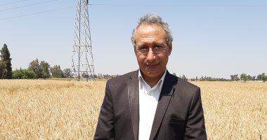 زراعة الشرقية: توريد 649 ألف طن  قمح من المحصول الجديد للصوامع والشون