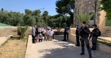 مستوطنون يقتحمون ساحات المسجد الأقصى ويؤدون طقوسا تلمودية