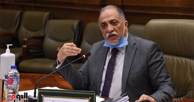 القصبى: مستقبل وطن أعد كوادر مميزة للمنافسة على المقاعد الفردية للشيوخ