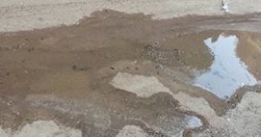 قارئ يشكو تراكم مياه الصرف الصحى فى أرض الجمعيات بالاسماعيلية