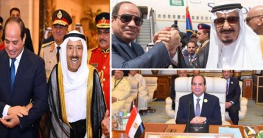 عام جديد فى مسيرة إنجازات السيسى.. يد تحارب الإرهاب وأخرى تحقق استقرار العرب.. "أمن الخليج" استراتيجية جددت روابط التاريخ.. القاهرة قادت جهودا لإنهاء أزمات عربية.. وحلحلة أزمات سوريا وليبيا أبرز منطلقات الريادة