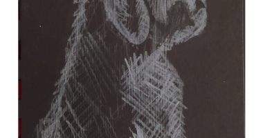 قارئ يشارك برسومات فنية و يقول : نفسى أكون رسام عالمى