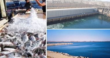 "قولوا لأبويا وعمى وخالى.. إحنا اللى هنطور السد العالى".. لجنة عليا من 6 وزارات لتنمية بحيرة ناصر.. ومسح دورى لرصد الحالة البيئية والمورفولوجية.. رئيس الهيئة: ننفذ مشروعات ضخمة للحفاظ على كفاءة السد وخزان أسوان