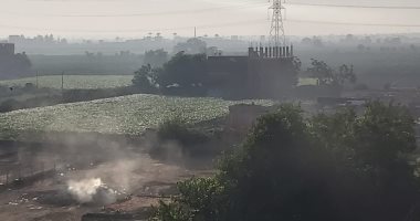 شكوى من حرق المخلفات الزراعية فى عزبة عبد المجيد نصير ببنها