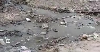 قارئ يشكو من سوء الصرف الصحى بشارع عطية السباغ بالخصوص محافظة القليوبية