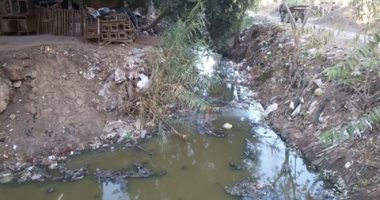 أهالى قرية بلقينا بالمحلة يطالبون بسرعة تنفيذ مشروع الصرف الصحى