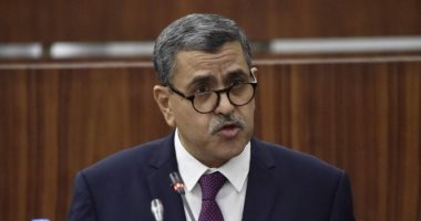 رئيس وزراء الجزائر يؤكد التوازن بين السلطات فى التعديلات الدستورية المقترحة