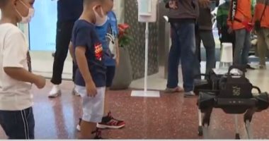 فيديو.. روبوت على شكل كلب يساعد على تعقيم اليدين في تايلاند