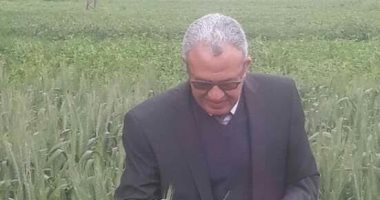 "زراعة بنى سويف": توربد 366 ألف طن من محصول بنجر السكر