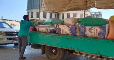 صور.. توريد 173 ألف و822 طن قمح بـ 22 منفذاً بمحافظة كفر الشيخ