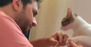 مصطفى خاطر ببيعمل "باديكير" لقطته: لو حد غيري كانت قطعتله وشه.. فيديو