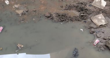 قارئة تطالب بتوصيل الصرف الصحى لشارع بقرية ميت حبيش القبلية فى طنطا