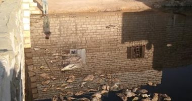 أهالى "زاوية الجدمى" بالمنيا يناشدون بتوصيل الصرف الصحى للقرية