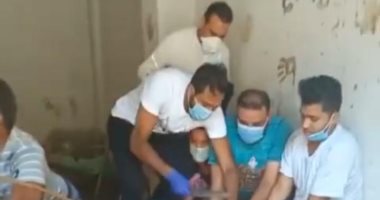 شاهد كهربا يذبح عجلاً.. ويعلق: "هذا من فضل ربى"