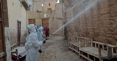 صور.. حملات تعقيم ورش للشوارع والمنازل جنوب الأقصر بأيادى الشباب 
