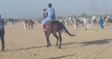 الشرطة تنجح فى فض "مرماح خيول" بقرية النمسا جنوب محافطة الأقصر
