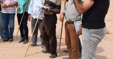"الزراعة" لجان مسح دورية للجراد الصحراوى بالمناطق الحدودية..اعرف التفاصيل