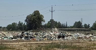 أهالى كفر الديب والعزب المجاورة بالغربية يناشدون رفع القمامة من جسر العباسى