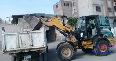 استجابة لـ"سيبها علينا".. الرصد البيئى ترفع القمامة من "أم زغيو" بالاسكندرية